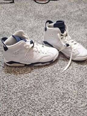 Jordan Retro 6